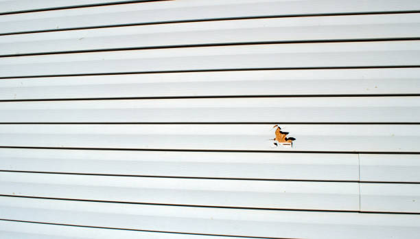 Best Stucco Siding  in Breaux Bridge, LA